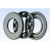 Fg Series Thrust Ball Bearings with Raceway (Miniature series)